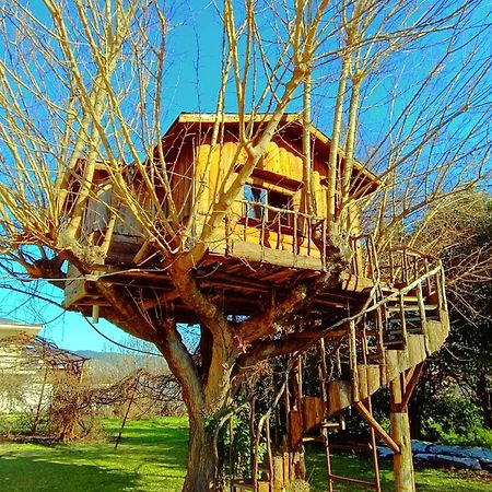 Το Πέτρινο Σπιτάκι Apartment Trikala  Bagian luar foto