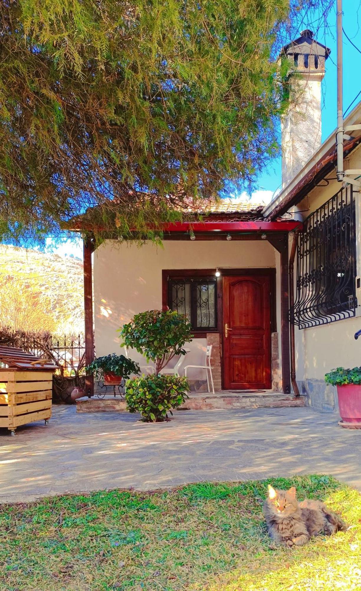 Το Πέτρινο Σπιτάκι Apartment Trikala  Bagian luar foto